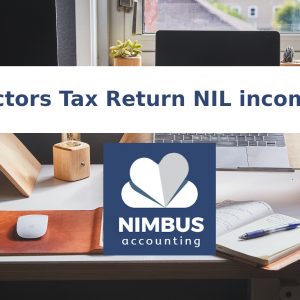 Nimbus Accounting Directors-Tax-Return-NIL-income